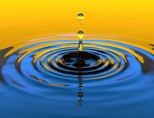 The Power of Small Things Creating a Ripple Effect in Your Life