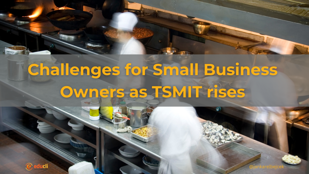 Challenges for Small Business Owners as TSMIT rises
