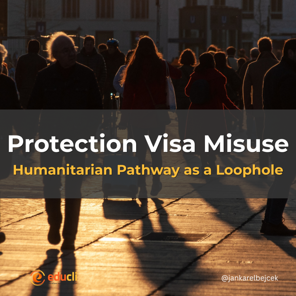 Protection Visa Misuse